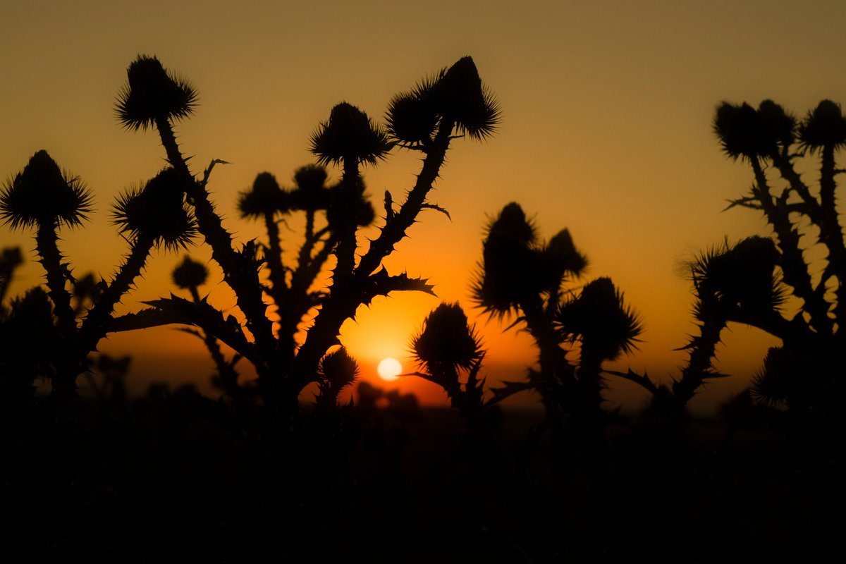 Enchanted Valley
3/10 ed
2 xtz
👇