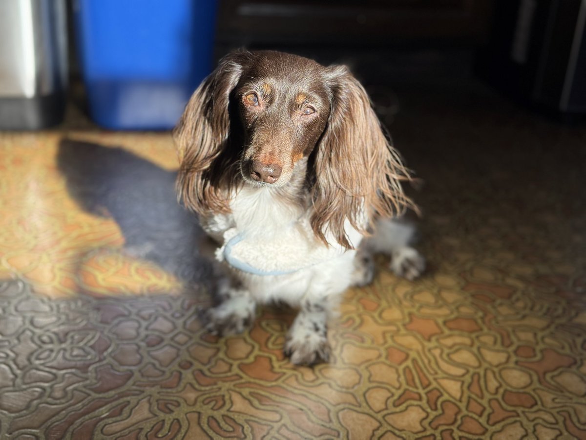 slacker. tweet media