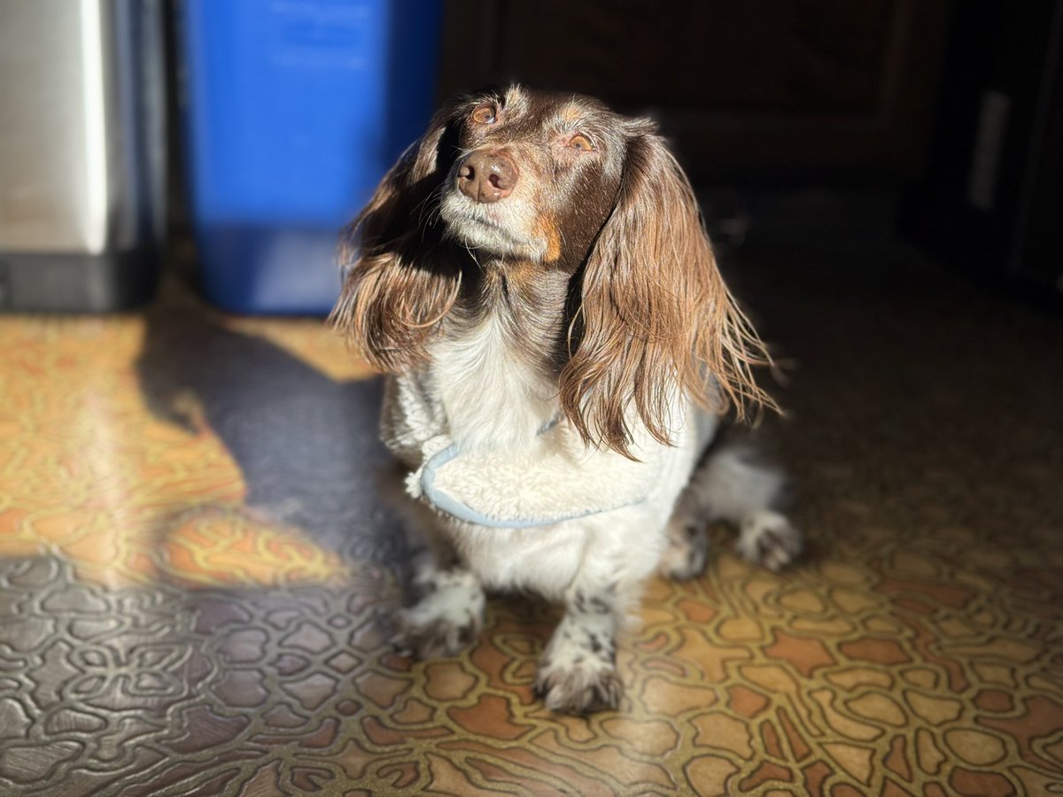 slacker. tweet media