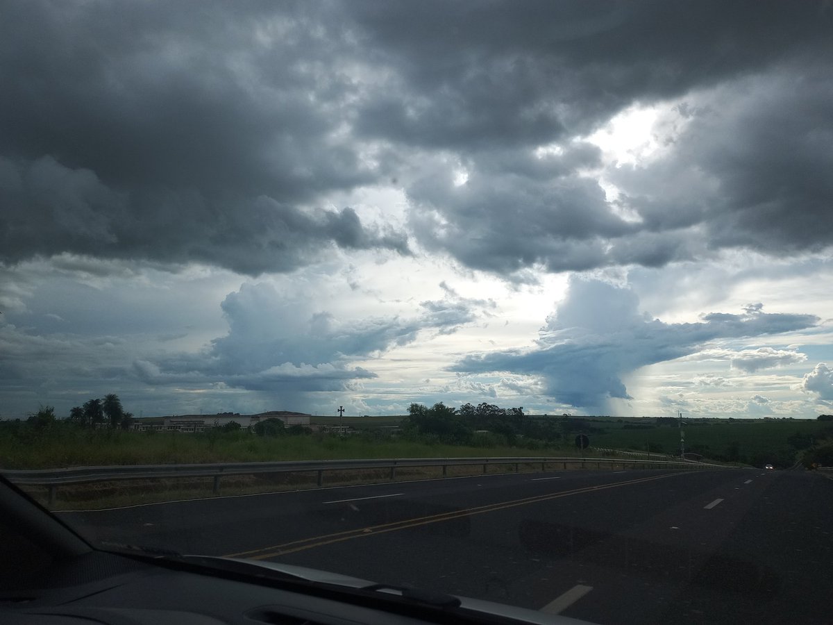 vvanesaug's tweet image. #Assis - SP