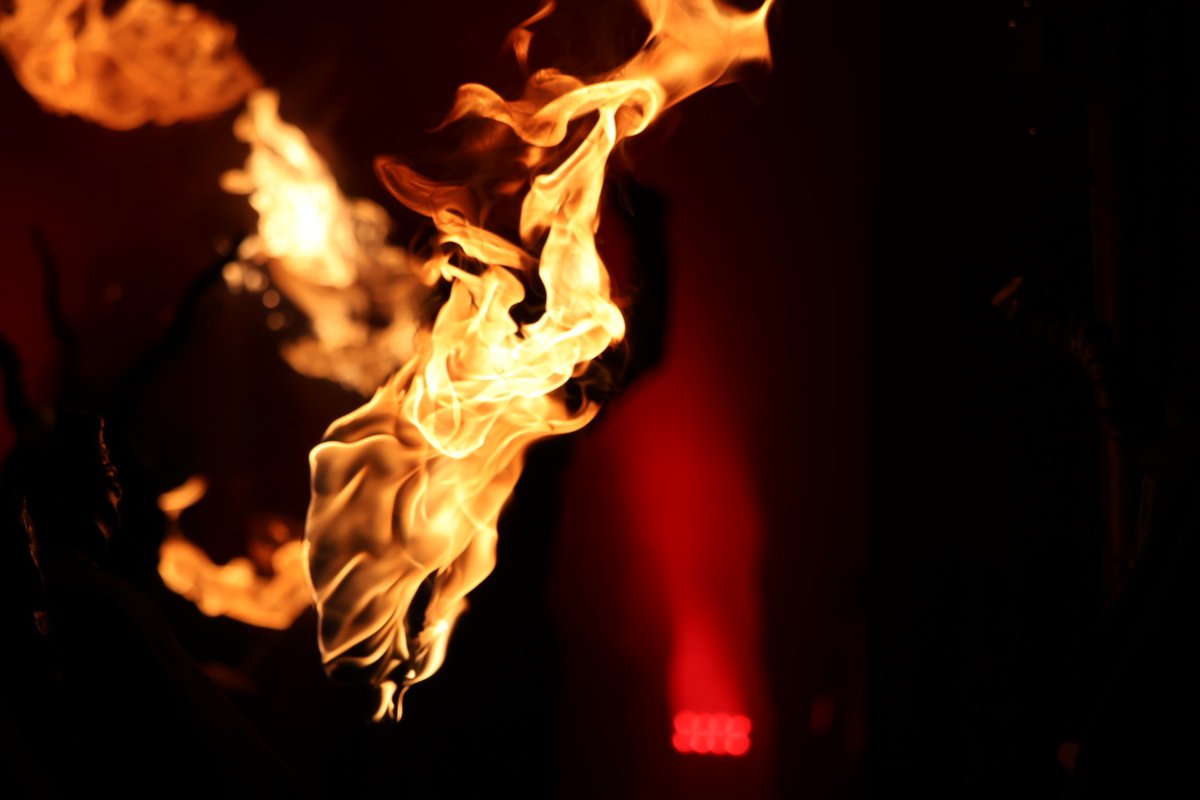 MÉS per Palma tweet media