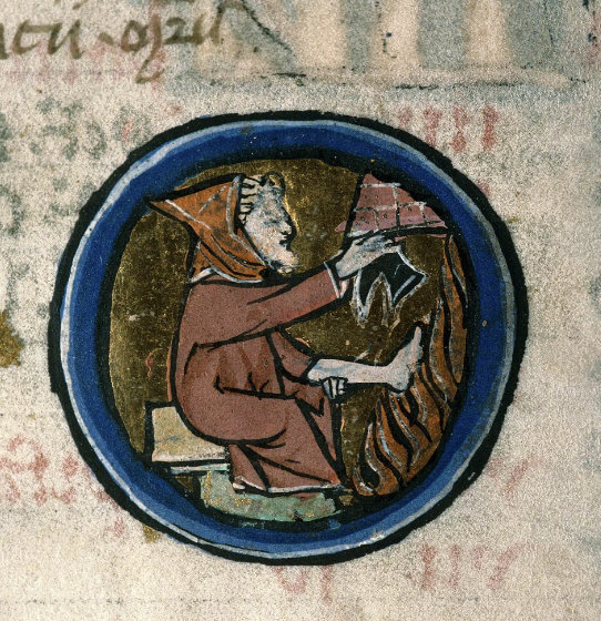 Emily Steiner tweet media