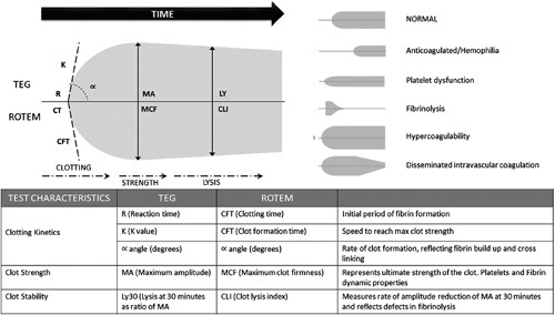 TEG / ROTEM before procedures in #cirrhosis?