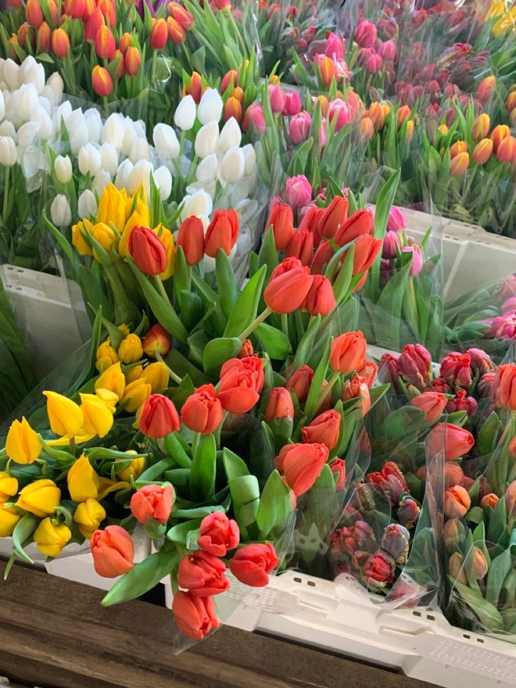 f⍳o⍵er tweet media