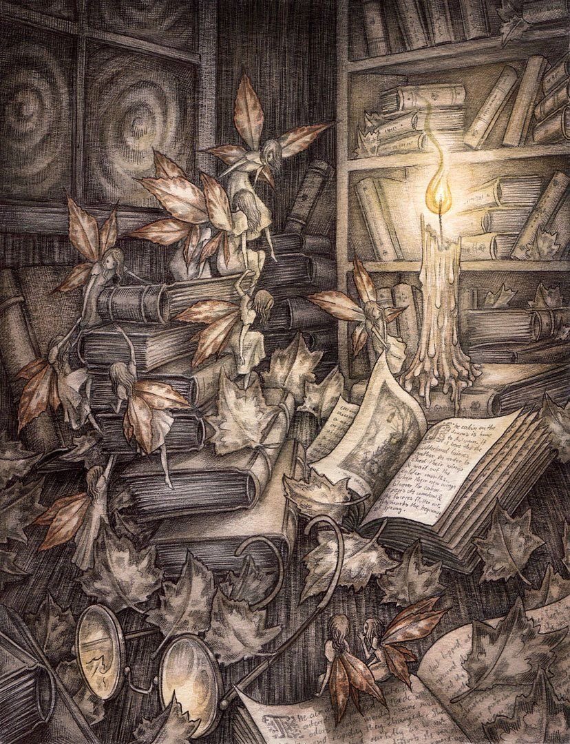 The Wilderlands ~ Adam Oehlers