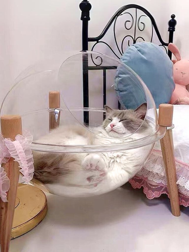 mofucat_media's tweet photo. 🐈mofucat プレゼントキャンペーン🐈

🐾360度肉球が見える🐾地球型カプセル猫ベッド
【https://t.co/3GYN4K0ubK】

　 ▼参加条件▼
☑️@mofucat_mediaをフォロー
☑️このツイートをRT

🐾締め切り🐾
　   〜2月23日 https://t.co/yx7oWrGTFd