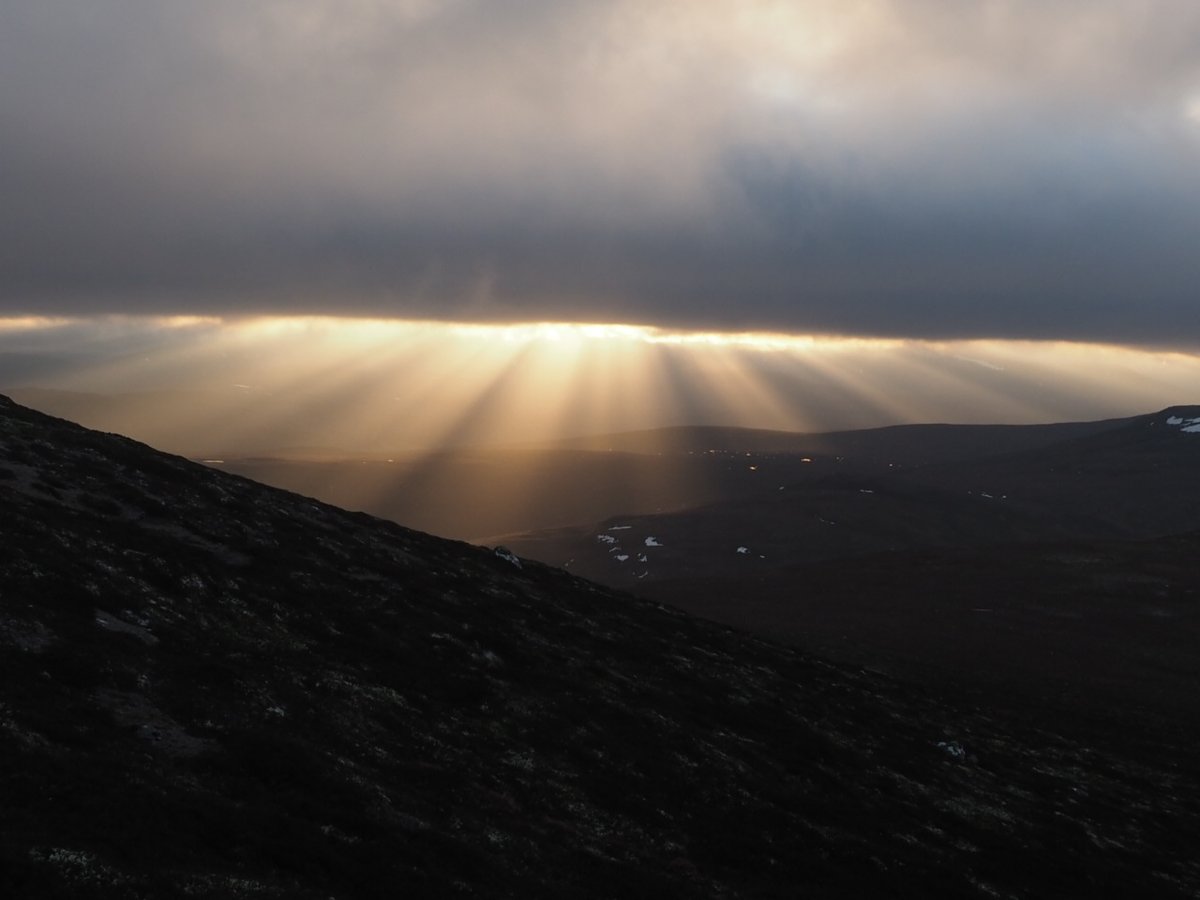 Mar Lodge Estate National Nature Reserve NTS (@marlodgents) on Twitter photo A second attempt to be on Sgor Mor for the sunset. It was clearer to the north but in the early afternoon a bank of cloud rolled in from the south west.  No clear sky sunset but instead treated to these late rays breaking through the cloud. A second attempt to be on Sgor Mor for the sunset. It was clearer to the north but in the early afternoon a bank of cloud rolled in from the south west.  No clear sky sunset but instead treated to these late rays breaking through the cloud.
