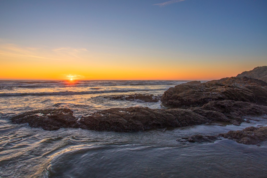 Washington's Evergreen Coast tweet media