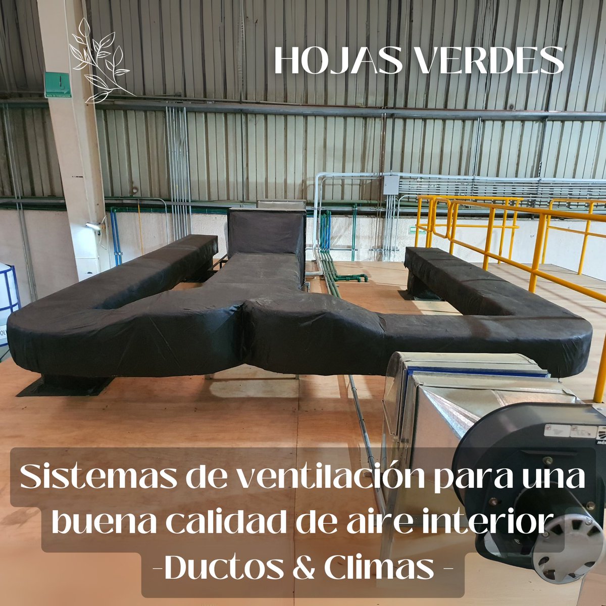 Revista mujeres Shaíque tweet media