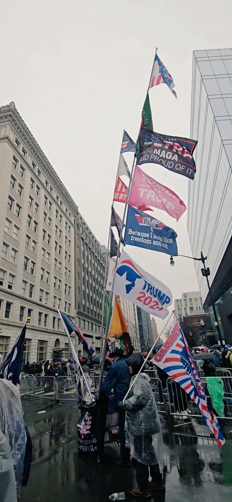 Todas las banderas de #Trump en un solo mástil. #Inauguration2025