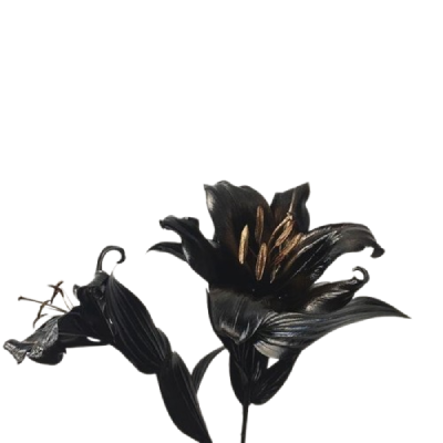 devilsdeathy's tweet photo. ⠀
  
⠀   #⃝♥︎̼̻  ⠀flowers ⠀that ⠀i⠀ gave ⠀you ⠀𝖉͟𝖎͟𝖊͟𝖉͟.
⠀
⠀ https://t.co/oXkTkdf97t