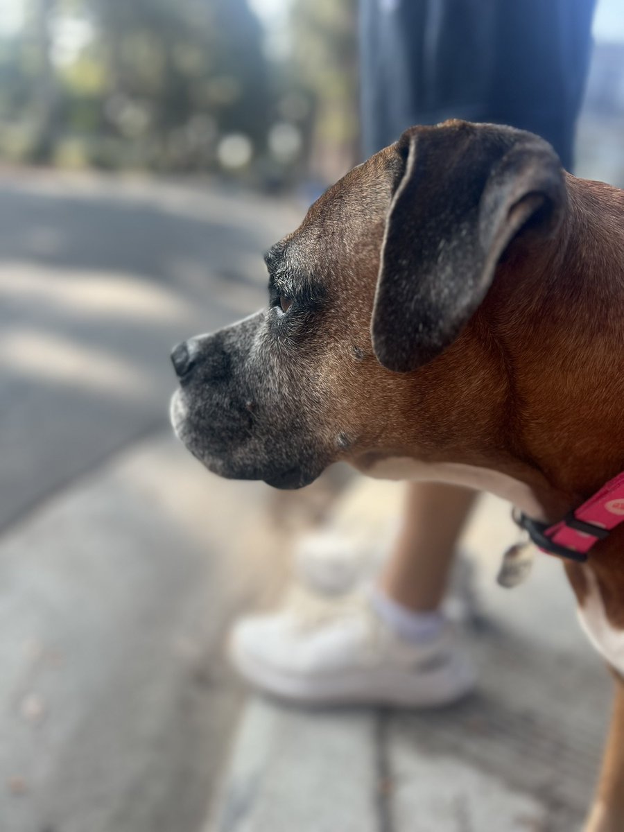 mandi perkins tweet media