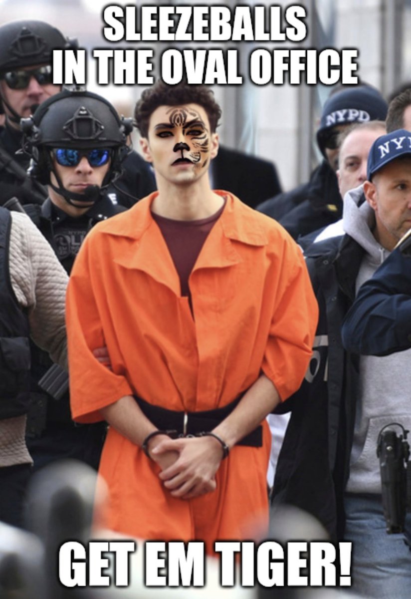 Daily Show is not always what it used to be but this was pretty good: Get em tiger! 🐯 <a href="/TheDailyShow/">The Daily Show</a>  #LuigiMangione  #GetEmTiger #Inauguration2025 #olig