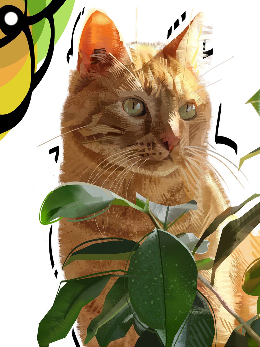 ★Nate D Hernandez★ tweet media