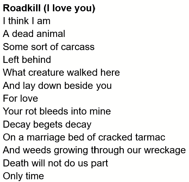 BelliferousArts's tweet photo. Roadkill (I love you) https://t.co/wADDrV23An