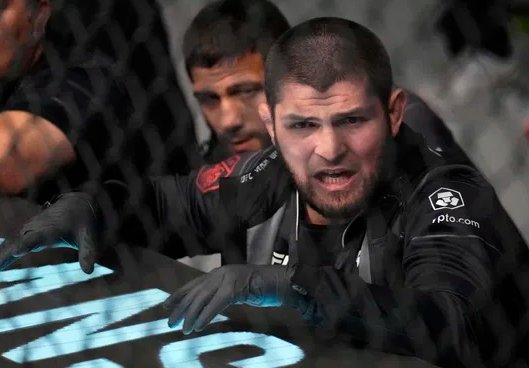 THE MMA GURU tweet media