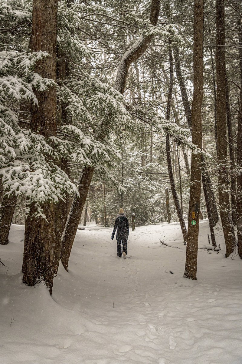 Anthony Boarman tweet media