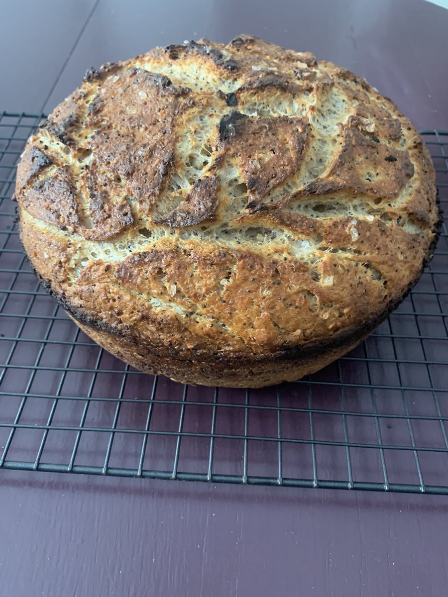 MRaines01's tweet photo. Dutch Oven Bread with Everything Bagel seasoning—it’s good for winter storms and what else may ail thee‼️ @bread https://t.co/1Rr4v3Vjjx