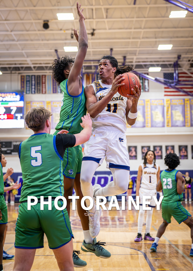 David Rainey tweet media