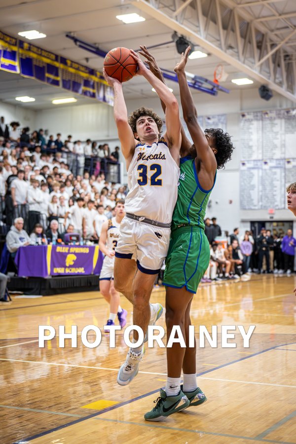 David Rainey tweet media