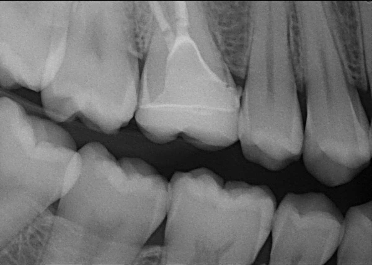 Jomana Abdulrahman tweet media