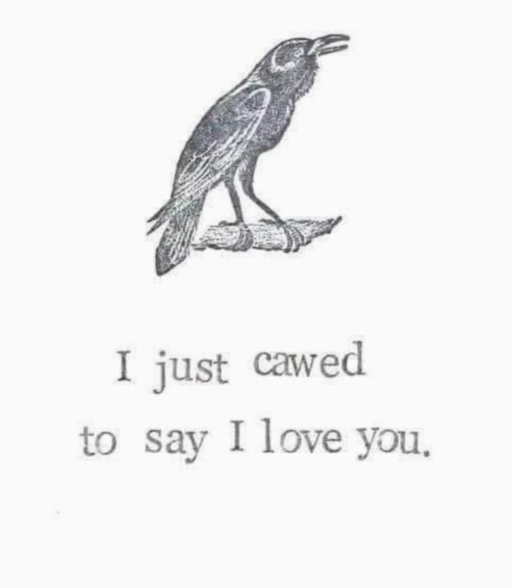 Zero State Reflex (@zerostatereflex) on Twitter photo 