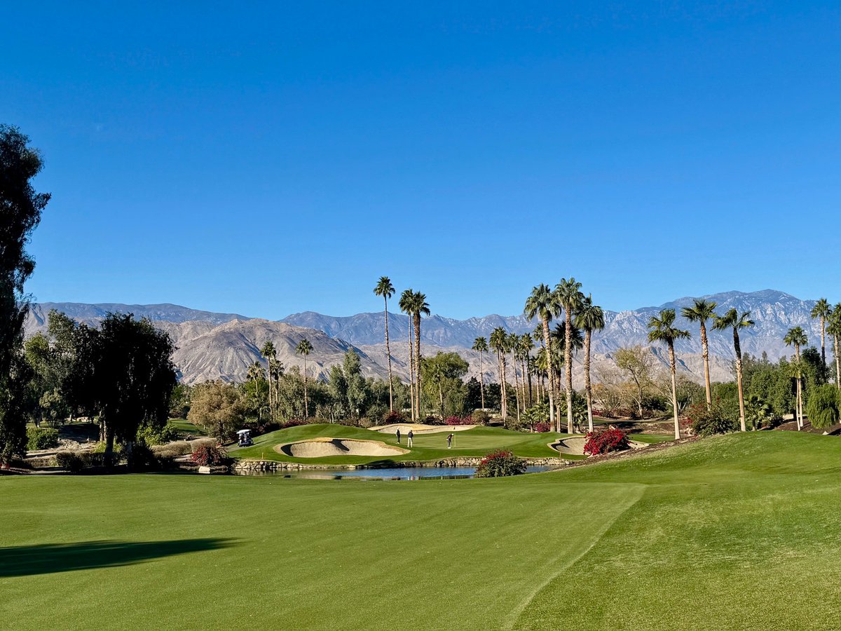 TuckahoeTurf's tweet photo. 🌴✨ Four of our Tuckahoe Turf Farms team members soaked up knowledge and networking at the SFMA Annual Conference in Palm Springs, CA. 📚🤝
#gamedaysod #tuckahoeturffarms #njfarms #turf #turffarm #jerseygrown #turfgrass #turfmanagement #turfinstallation #turffarms #njturf https://t.co/YFx6O9niin