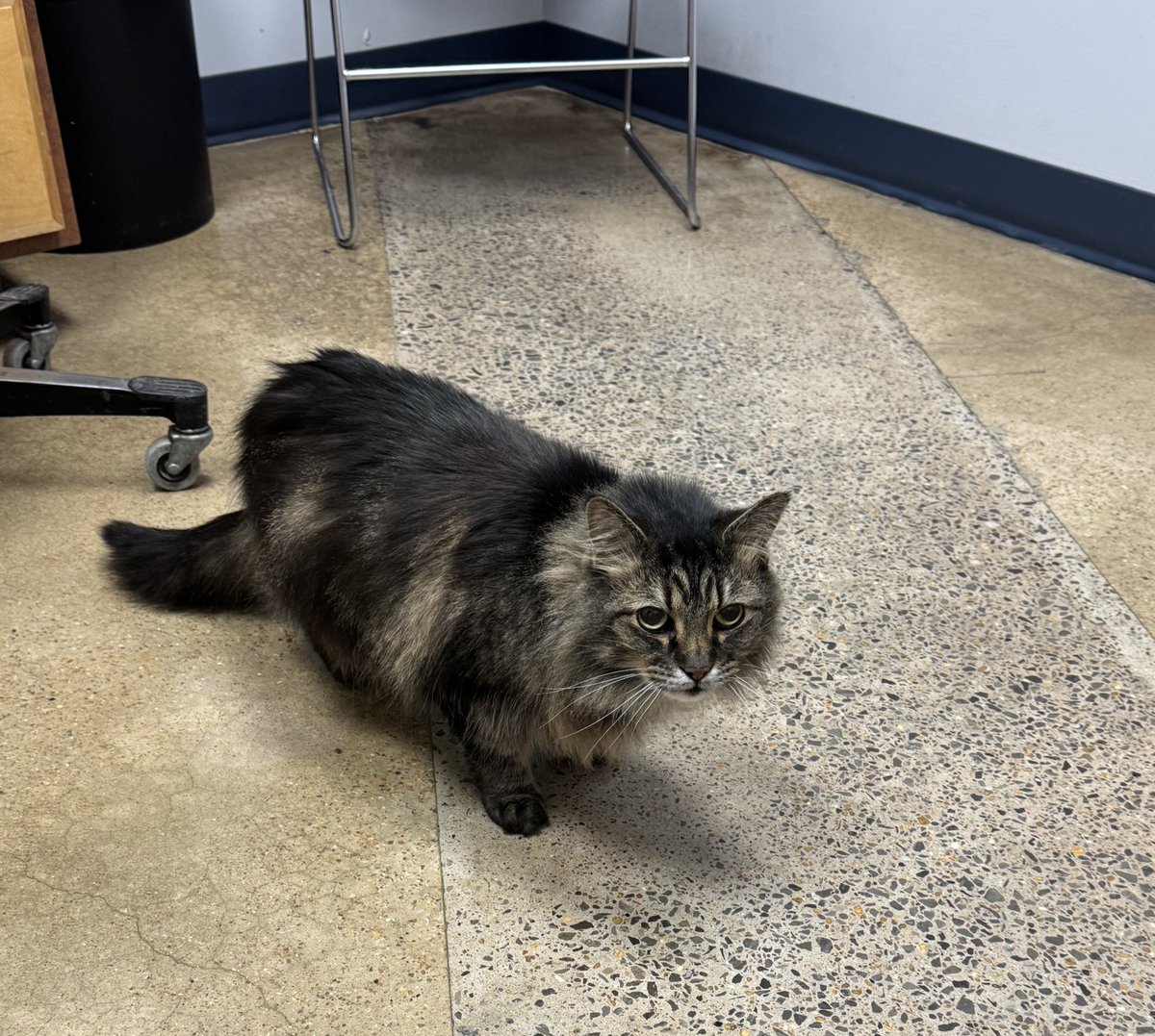 Danny | Redb3ardplays tweet media