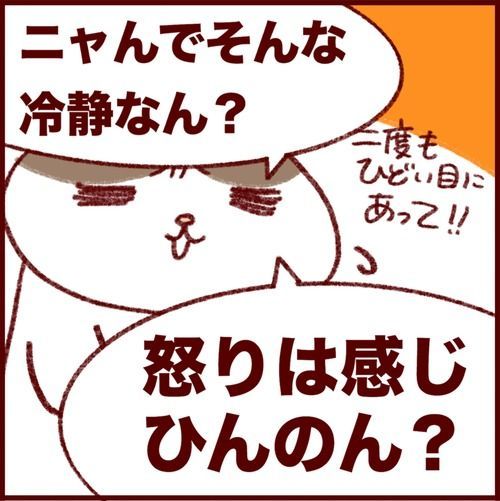 アイスベアの氷のような怒り。ツジヒトナリ問題⑥ 
#フランダースの三姉妹
#三女 #6歳
#過去記事紹介

元記事↓ 
https://t.co/V67UenmOvO 