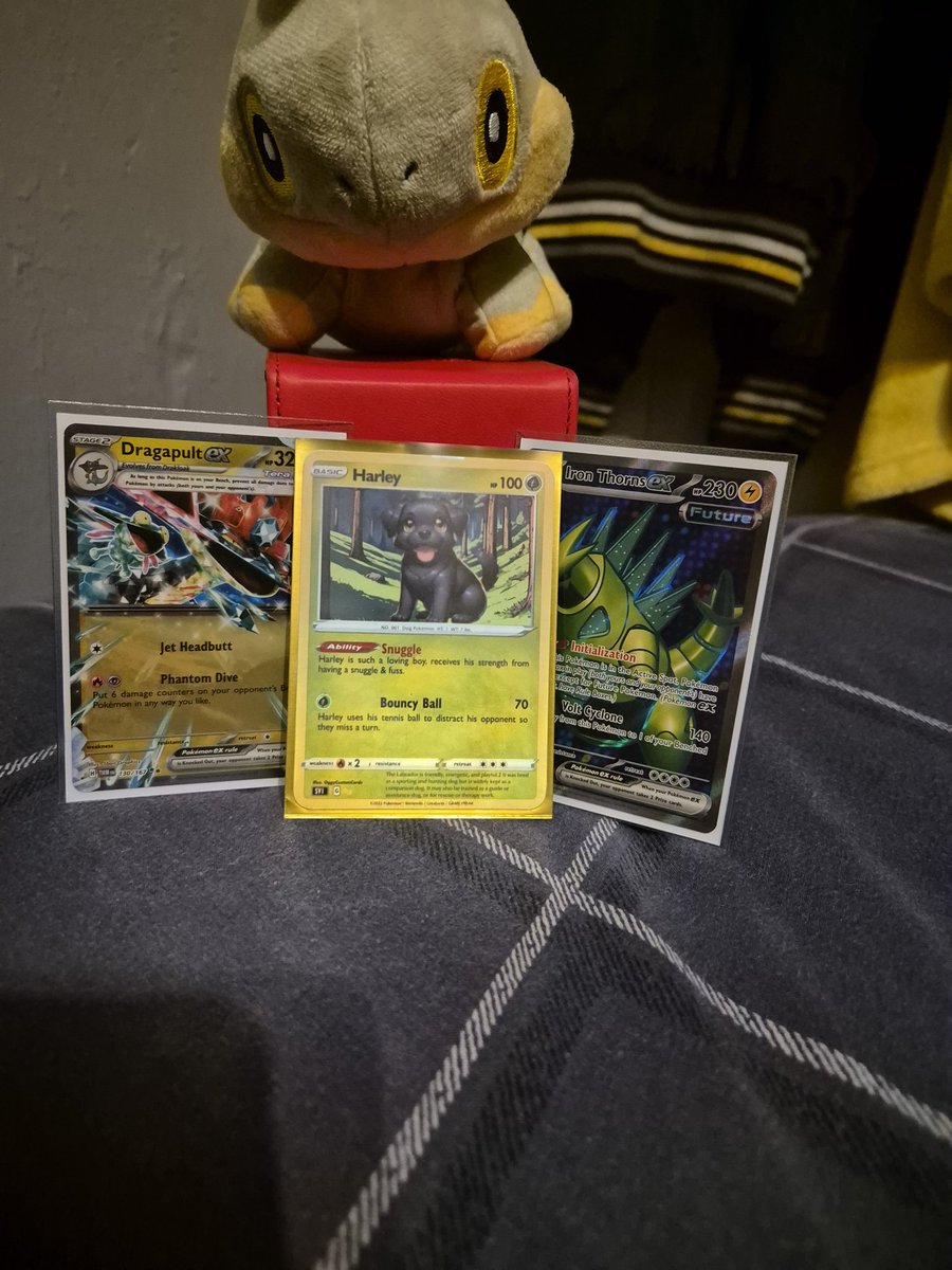 So I'm home from Birmingham pokemon regionals and I'm really proud of myself for going the full 8 rounds and going 4/3/1. This is the best iv done at a regionsls, and I got to do it with my boy and my friends as well. Ya still with me harles I know you are 

#PokemonTCG #ptcg