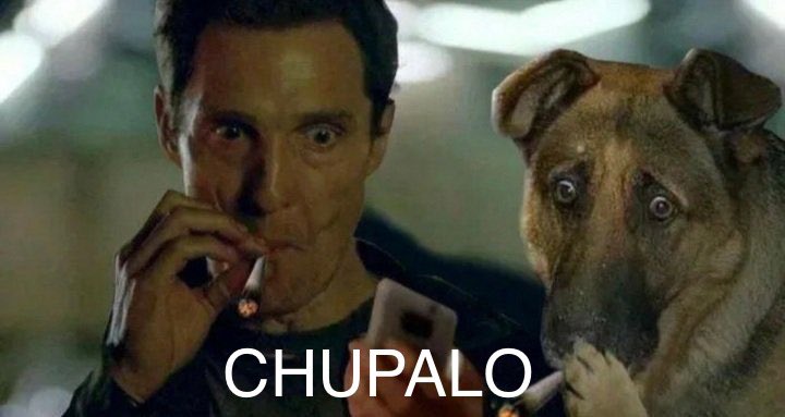 elpingaloca13's tweet photo. @rip_eslouw Payaso 😂 https://t.co/dOWktqr27I