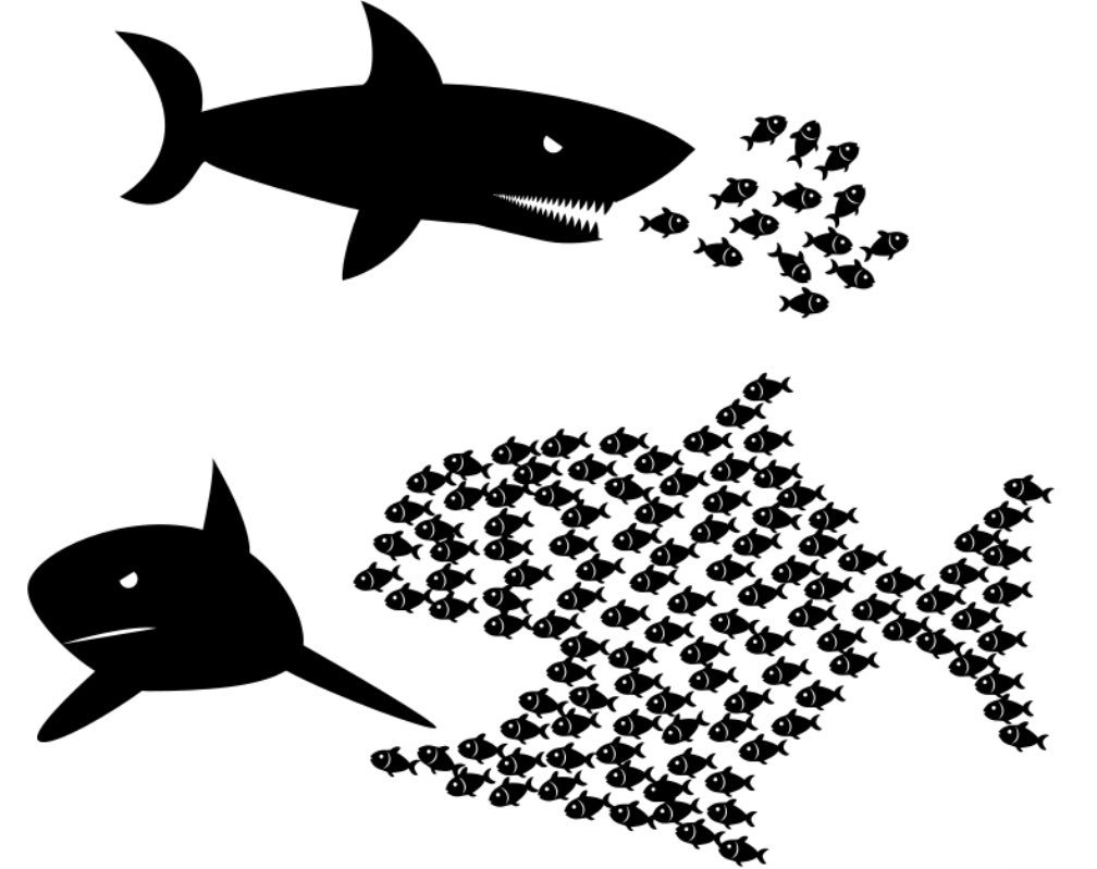 John C.L. Morgan tweet media