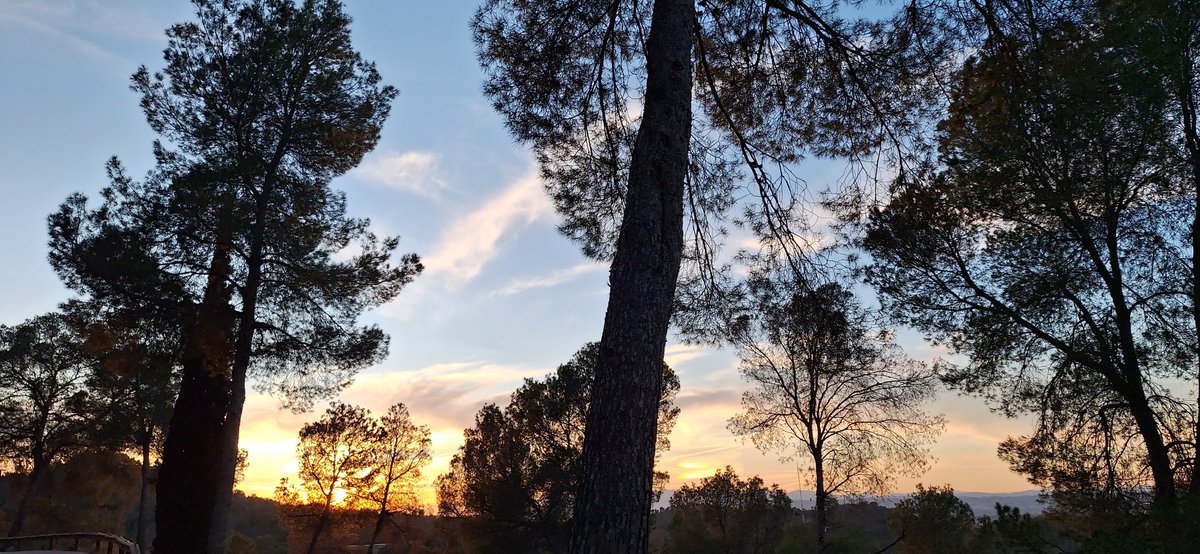 calogarci95's tweet photo. #Fotopostales https://t.co/4MC56Qd1Jd