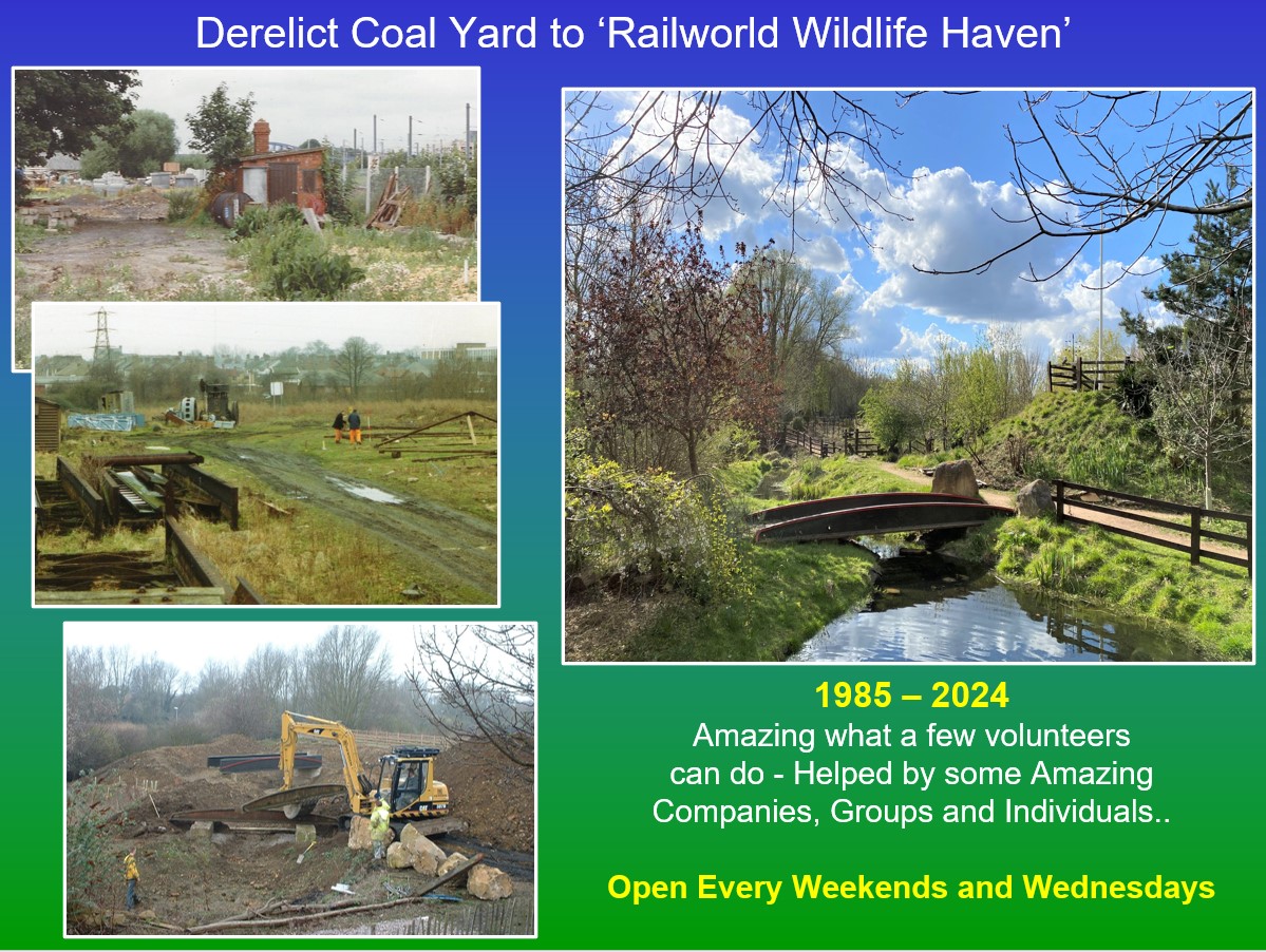 Railworld Wildlife Haven tweet media