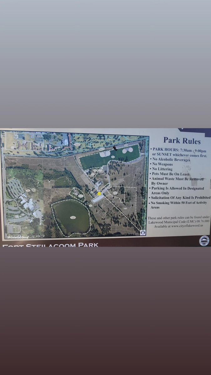 RandomUnicorn95 tweet media