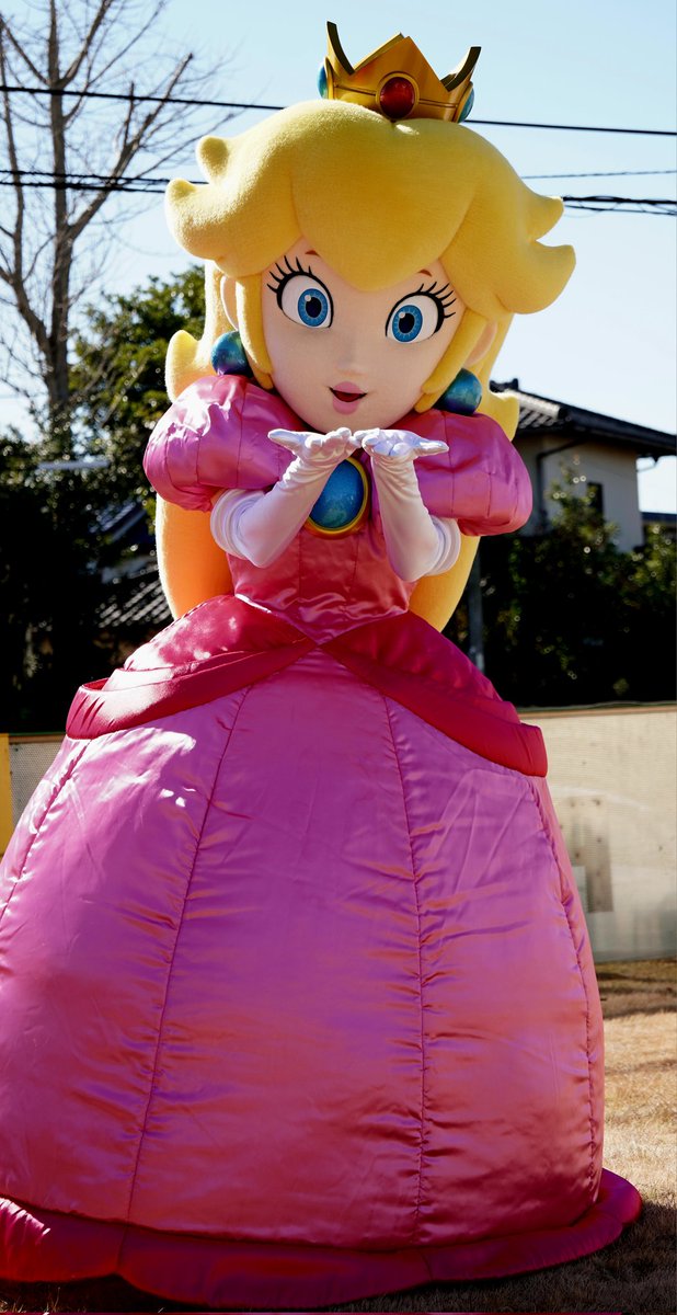 shjm5309's tweet photo. マリオにバレないように、目線くれましたwww
#スーパーマリオ
#ピーチ姫
#ハウジングプラザ千葉・青葉の森 https://t.co/N7B89kXQWX