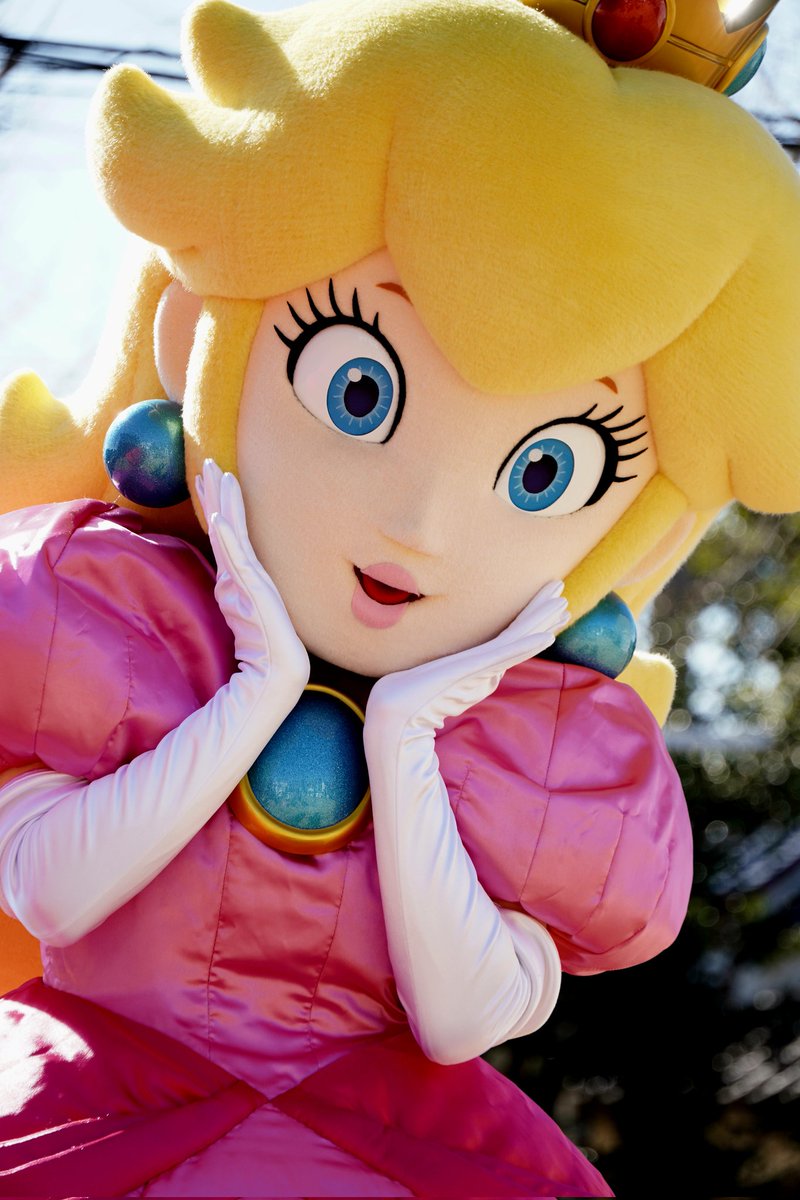 shjm5309's tweet photo. マリオにバレないように、目線くれましたwww
#スーパーマリオ
#ピーチ姫
#ハウジングプラザ千葉・青葉の森 https://t.co/N7B89kXQWX