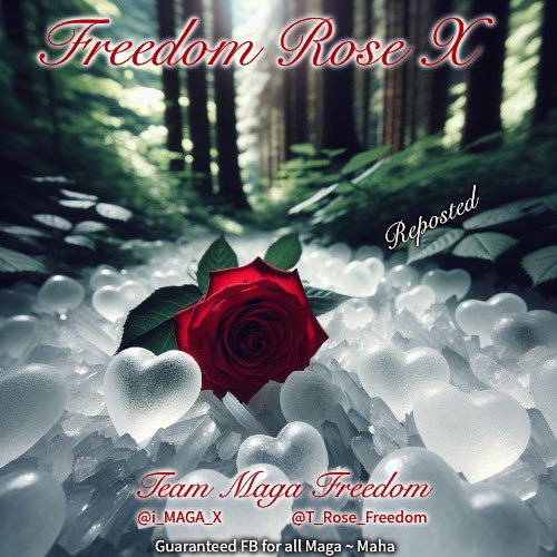 Freedom🌹Rose X (@t_rose_freedom) on Twitter photo <a href="/ricphy2/">ricphy</a> <a href="/klc4_trump/">🇺🇸 KLC 🇺🇸</a> <a href="/Chloe4Djt/">🇺🇸 CHLOE 🇺🇸</a> <a href="/CHEESEcurdToo2/">Extra🧀Sharp🧀Cheddar 🧀</a> <a href="/MBLINDAM/">💞💞💞 Miss - Behaving 💞💞💞</a> <a href="/Pittsburgbitch/">Cheryl</a> <a href="/Sir_Charlsss/">Sir_Charlsss Unchained!</a> <a href="/4_0GTS/">X MAGA News (Chris)</a> <a href="/satansradio666/">MAGA ROCK GAINS</a> <a href="/SD73660/">Sandy</a> <a href="/RedTusker/">Red Tusker</a> <a href="/cmir_r/">سليمان ناصر السبيعي </a> <a href="/KidRocker76/">ӄɨɖ ʀօƈӄɛʀ</a> <a href="/LakesEileen/">Eileen</a> <a href="/this_is_austen/">🍄UltraNuclearDagnyTaggart🍄</a> <a href="/Chicago_Daisy/">Daisy the Awkward Badass</a> <a href="/momof331/">💫Dana Cohen💫</a> <a href="/MackTruckNic/">♕Trʉͫcͧкͭιͪηͣ คฬєร๏๓є ภเς๏ɭє 🏴☠️</a> <a href="/JimMaga777/">JimMaga777</a> <a href="/WhatDaFookNC/">DaFook 🇺🇸 NC</a> <a href="/cinarte561/">cinarte56</a> 🌹Thank you Rick🎉🇺🇸
🌹I appreciate the seat❣️
💫Follow 💫
⭐️<a href="/ricphy2/">ricphy</a>
+ all great patriots
#TeamMagaFreedom
⭐️<a href="/i_MAGA_X/">i MAGA X</a>
⭐️<a href="/T_Rose_Freedom/">Freedom🌹Rose X</a>
Guaranteed fb of Maga Maha <a href="/ricphy2/">ricphy</a> <a href="/klc4_trump/">🇺🇸 KLC 🇺🇸</a> <a href="/Chloe4Djt/">🇺🇸 CHLOE 🇺🇸</a> <a href="/CHEESEcurdToo2/">Extra🧀Sharp🧀Cheddar 🧀</a> <a href="/MBLINDAM/">💞💞💞 Miss - Behaving 💞💞💞</a> <a href="/Pittsburgbitch/">Cheryl</a> <a href="/Sir_Charlsss/">Sir_Charlsss Unchained!</a> <a href="/4_0GTS/">X MAGA News (Chris)</a> <a href="/satansradio666/">MAGA ROCK GAINS</a> <a href="/SD73660/">Sandy</a> <a href="/RedTusker/">Red Tusker</a> <a href="/cmir_r/">سليمان ناصر السبيعي </a> <a href="/KidRocker76/">ӄɨɖ ʀօƈӄɛʀ</a> <a href="/LakesEileen/">Eileen</a> <a href="/this_is_austen/">🍄UltraNuclearDagnyTaggart🍄</a> <a href="/Chicago_Daisy/">Daisy the Awkward Badass</a> <a href="/momof331/">💫Dana Cohen💫</a> <a href="/MackTruckNic/">♕Trʉͫcͧкͭιͪηͣ คฬєร๏๓є ภเς๏ɭє 🏴☠️</a> <a href="/JimMaga777/">JimMaga777</a> <a href="/WhatDaFookNC/">DaFook 🇺🇸 NC</a> <a href="/cinarte561/">cinarte56</a> 🌹Thank you Rick🎉🇺🇸
🌹I appreciate the seat❣️
💫Follow 💫
⭐️<a href="/ricphy2/">ricphy</a>
+ all great patriots
#TeamMagaFreedom
⭐️<a href="/i_MAGA_X/">i MAGA X</a>
⭐️<a href="/T_Rose_Freedom/">Freedom🌹Rose X</a>
Guaranteed fb of Maga Maha