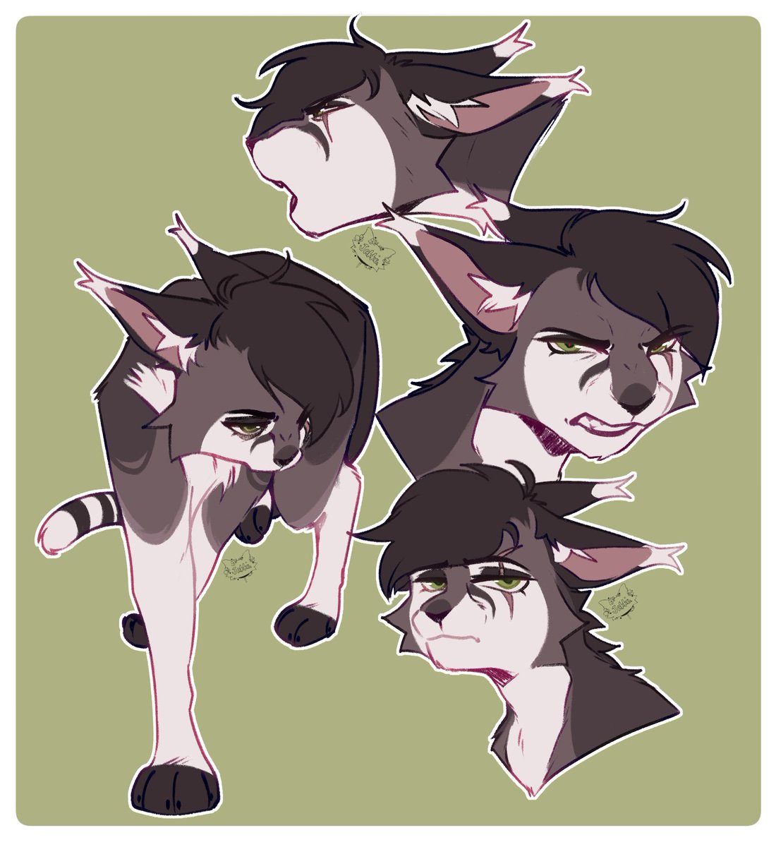 Jakkewolf1's tweet photo. more sketches of my warrior cat oc ✨
#warriorcats #occat #wariorcatoc https://t.co/XOZ4PpILAC