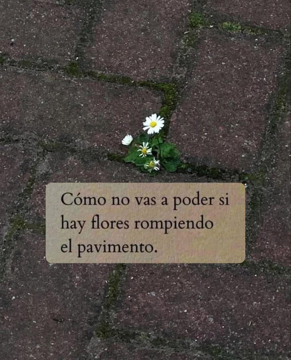 Resentida (@chapameelcuerno) on Twitter photo 