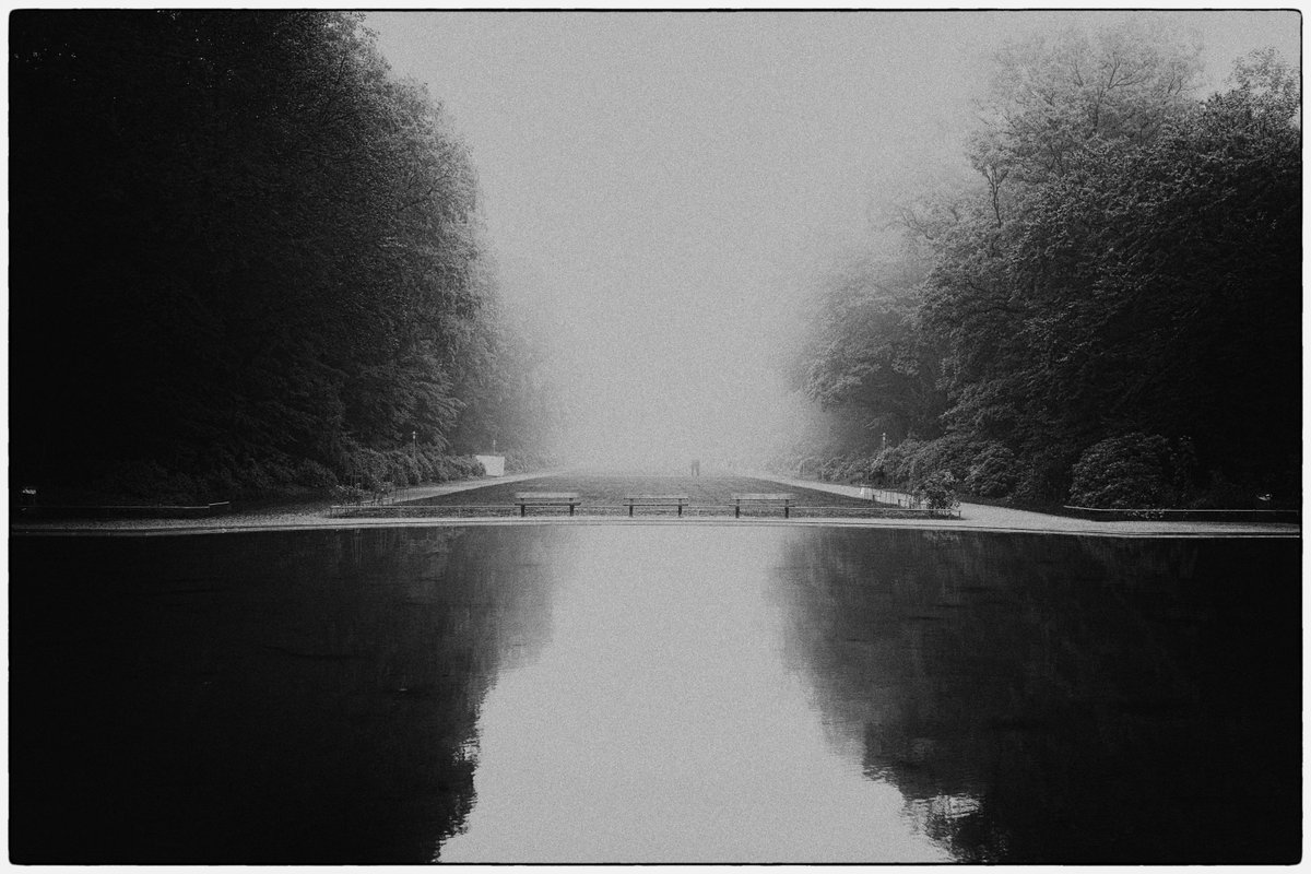 romandrits tweet media