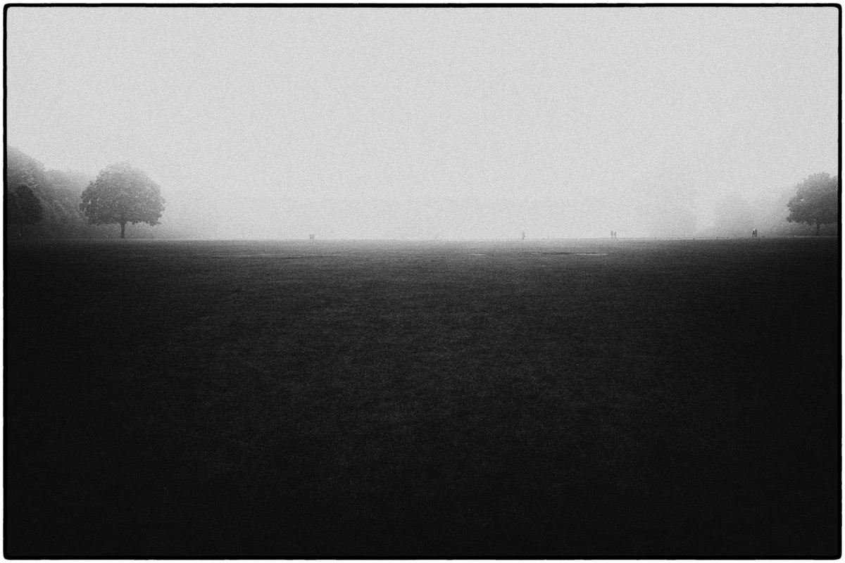 romandrits tweet media