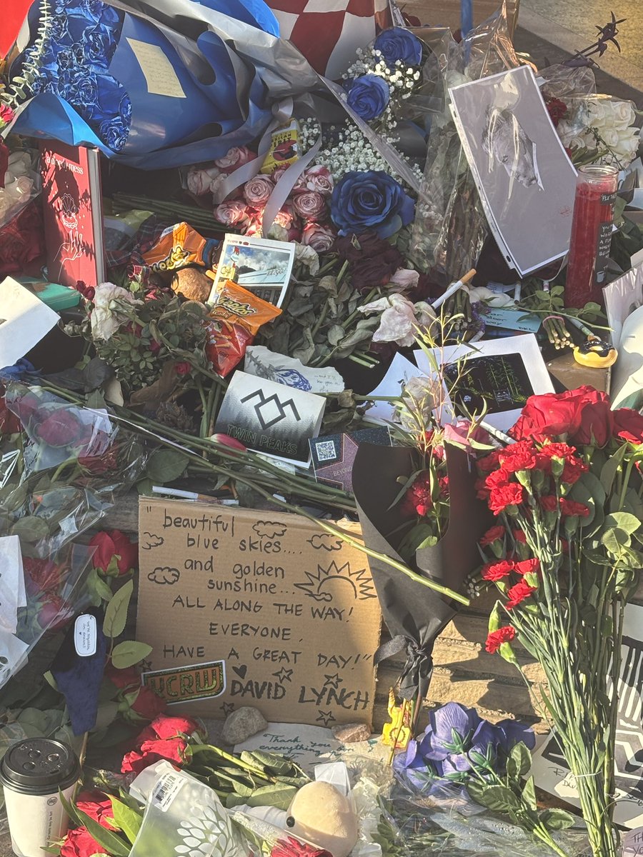 Sammie-Doo, Where Are You! tweet media