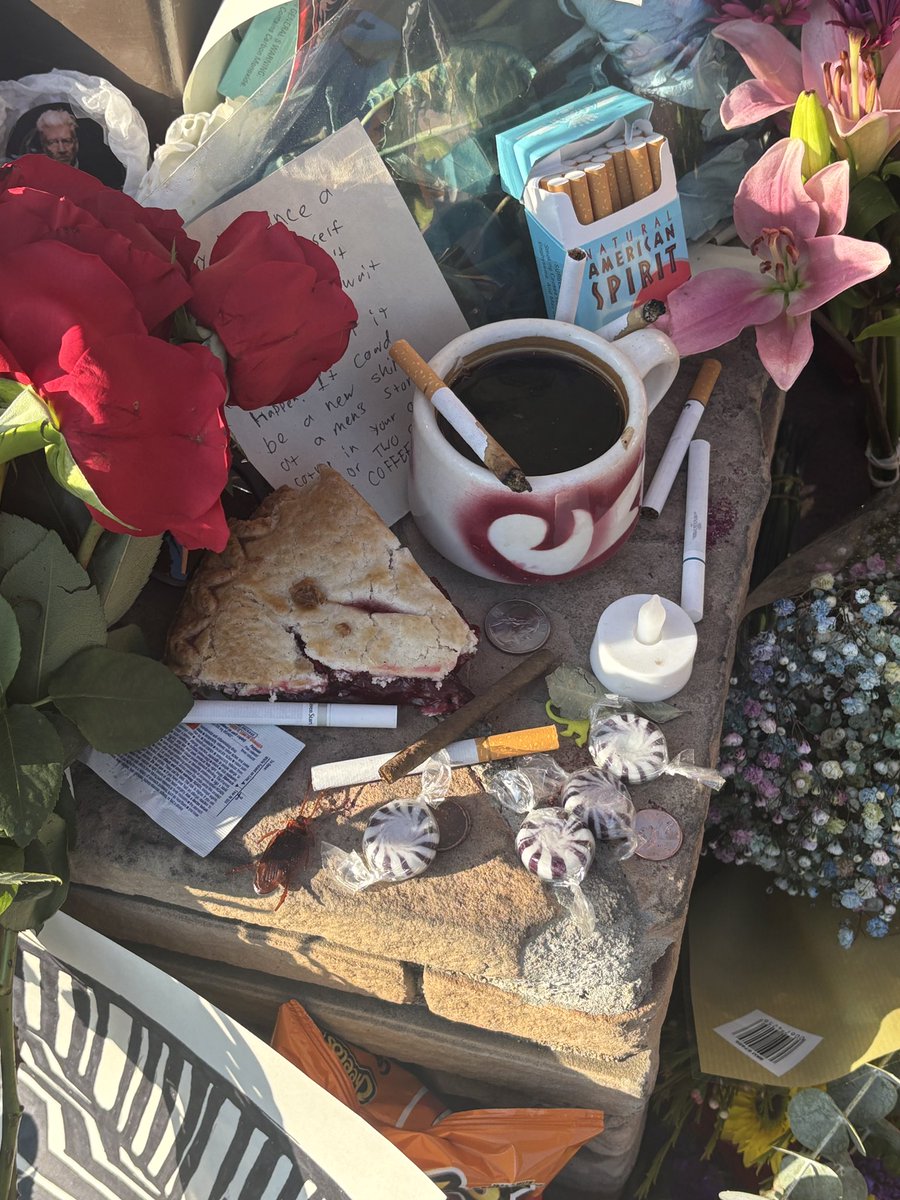 Sammie-Doo, Where Are You! tweet media