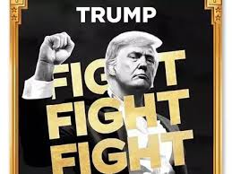 Trader Koala tweet media