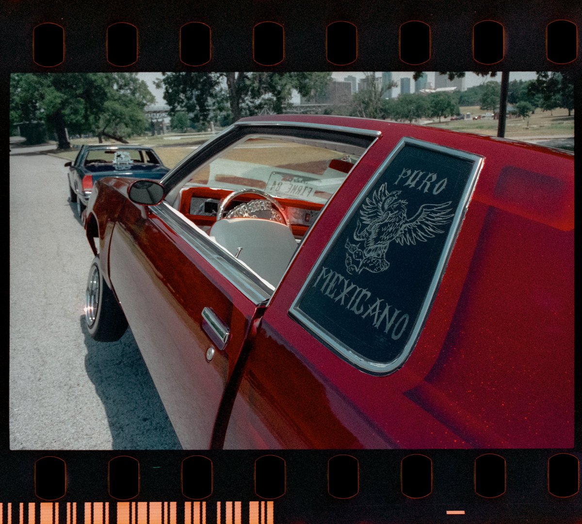 ContrerasAlex_'s tweet photo. Puro Mexicano🦅 #35mm https://t.co/uMgOla3fn2