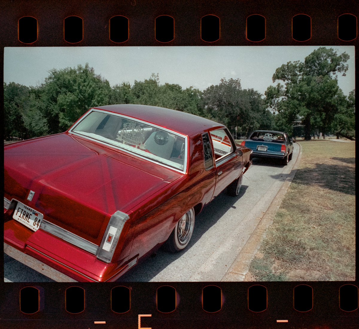 ContrerasAlex_'s tweet photo. Puro Mexicano🦅 #35mm https://t.co/uMgOla3fn2