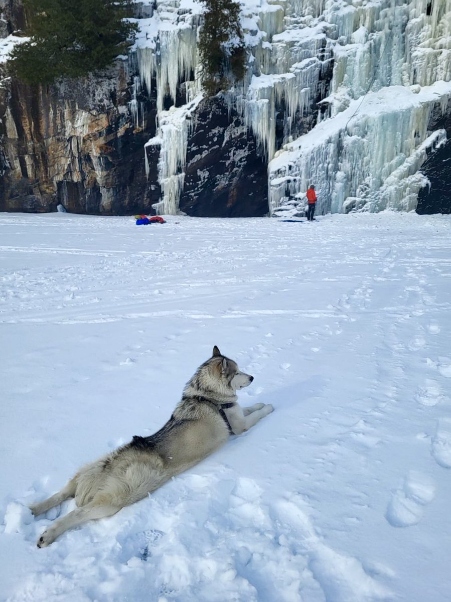 CAugustElliott's tweet photo. Storm. Dog of the North. #CanadianIce π¨π¦ https://t.co/R7X5QK87nX