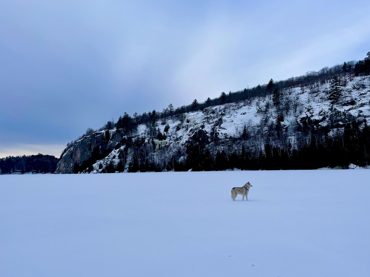 CAugustElliott's tweet photo. Storm. Dog of the North. #CanadianIce π¨π¦ https://t.co/R7X5QK87nX