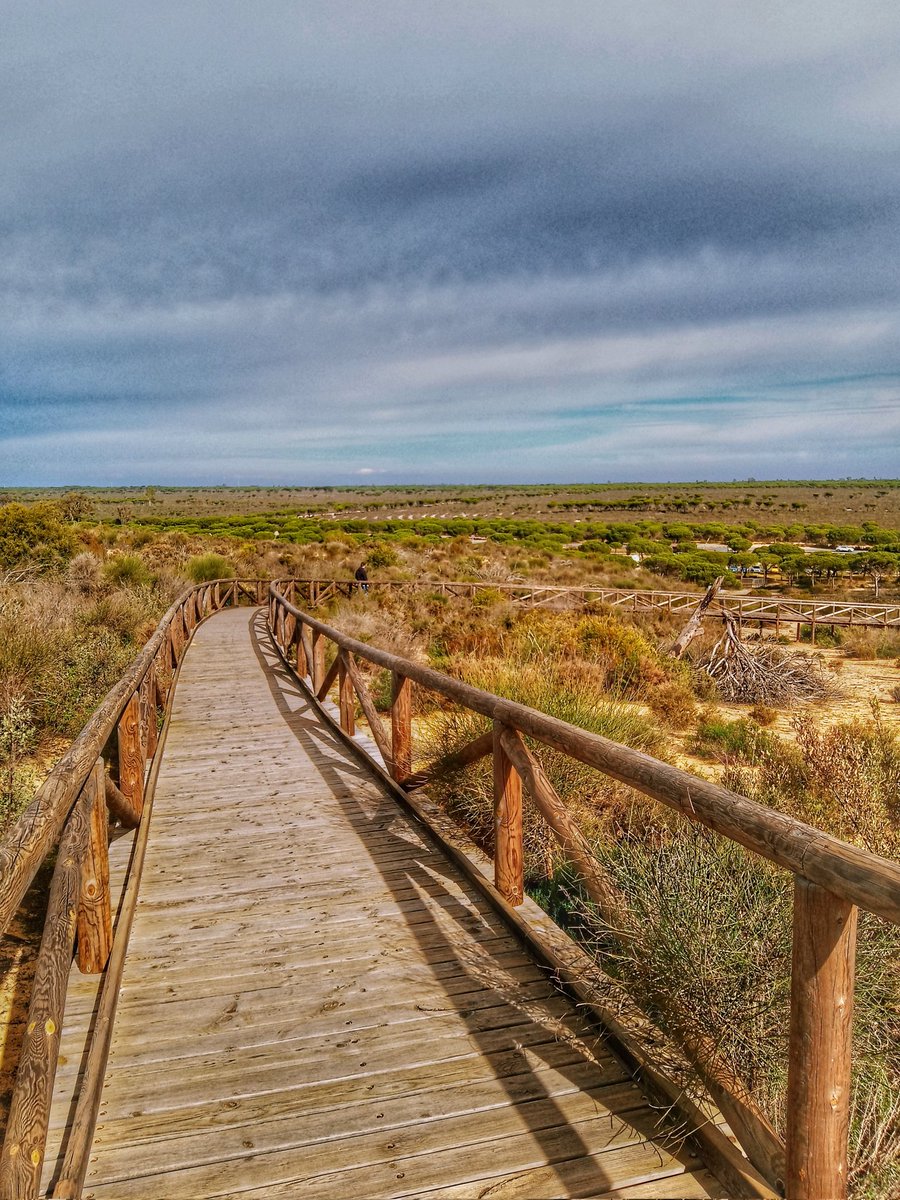 Plan de domingo ⛱️ 📸 #Playa #CuestaManeli #Mazagon #PlanDeDomingo